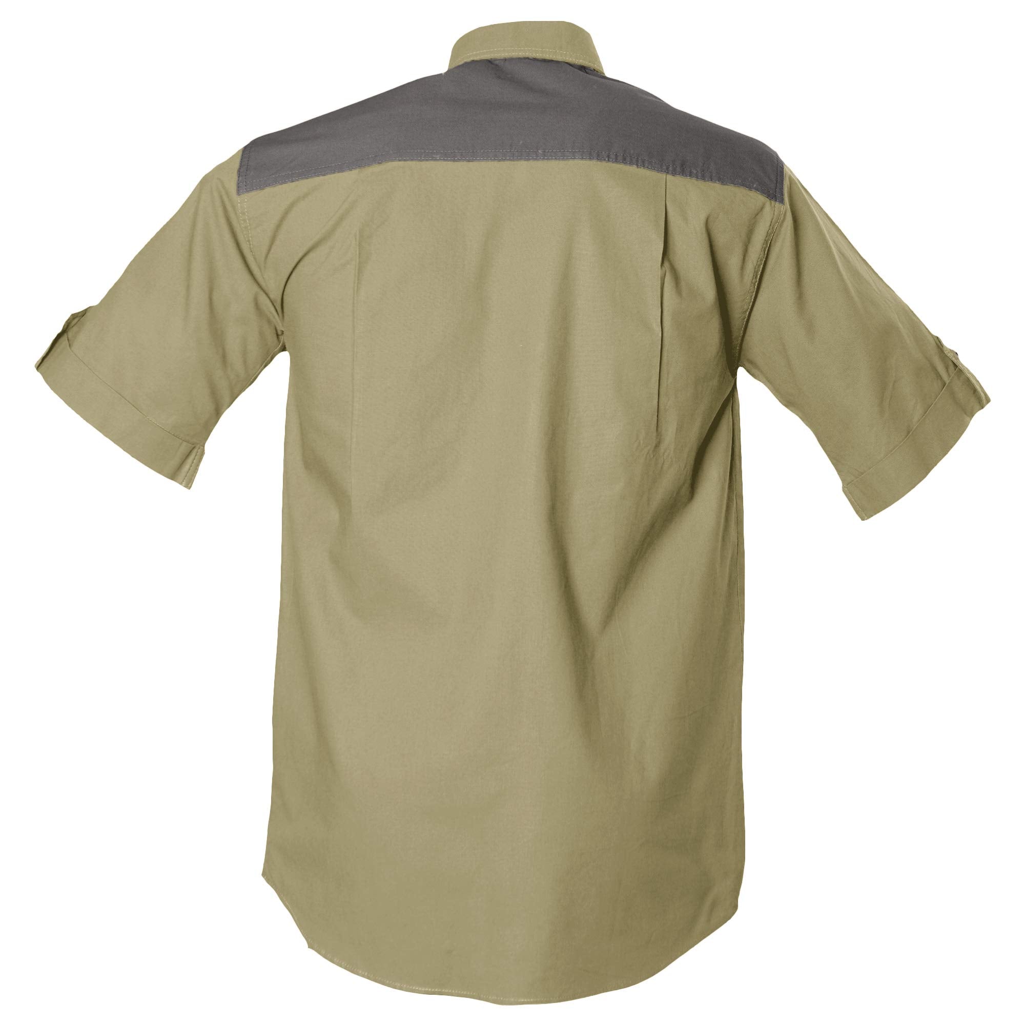 Back of a Men's Upland Shirt in Short Sleeves, color Khaki/Olive. The shirt has a contrasted yoke, buttoned roll-up tabs on the sleeve cuffs, double stitching throughout, and long rounded tails for tucking into pants. 100% cotton.--2