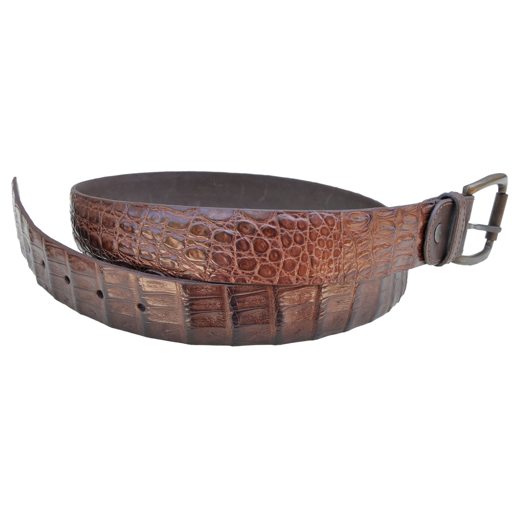 Back view of a Caiman Crocodile Game Skin Belt, color Brown. The belt has a solid brass buckle, five waist adjustment positioning holes, two Chicago-style belt length adjustment screws, a matching leather keeper loop, and a Tag Safari logo branded inside. Genuine game skin leather.--2