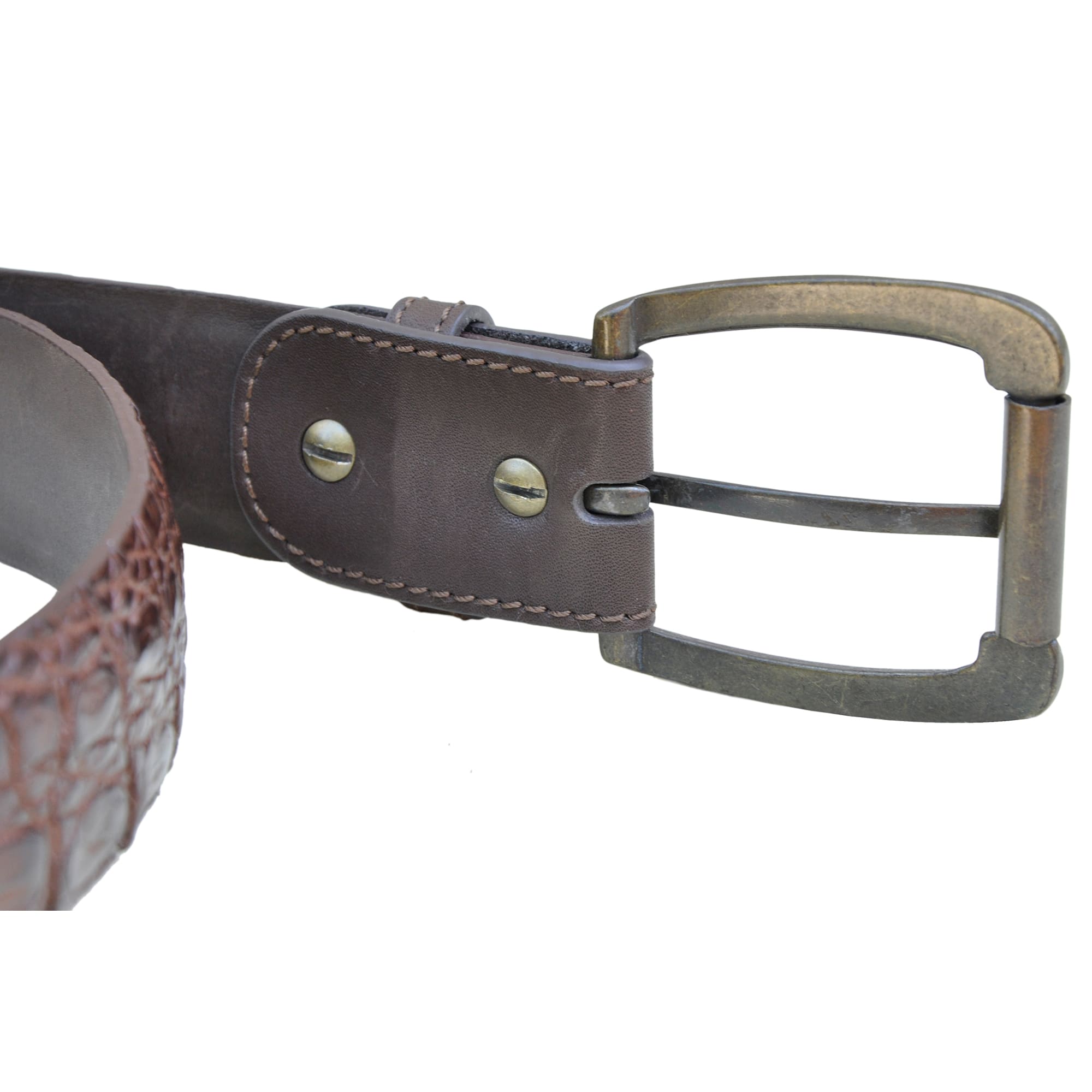 Closeup of a Caiman Crocodile Game Skin Belt, color Brown. The belt has a solid brass buckle, two Chicago-style belt length adjustment screws, and a matching leather keeper loop. Genuine game skin leather.--4