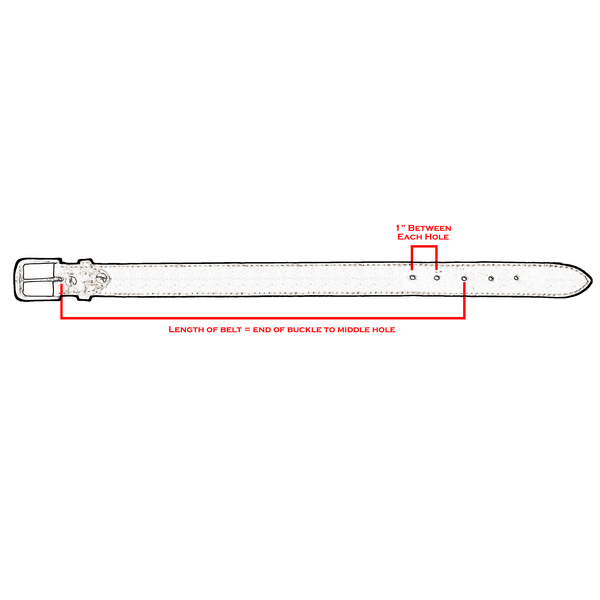 Caiman Crocodile Game Skin Belt - Brown