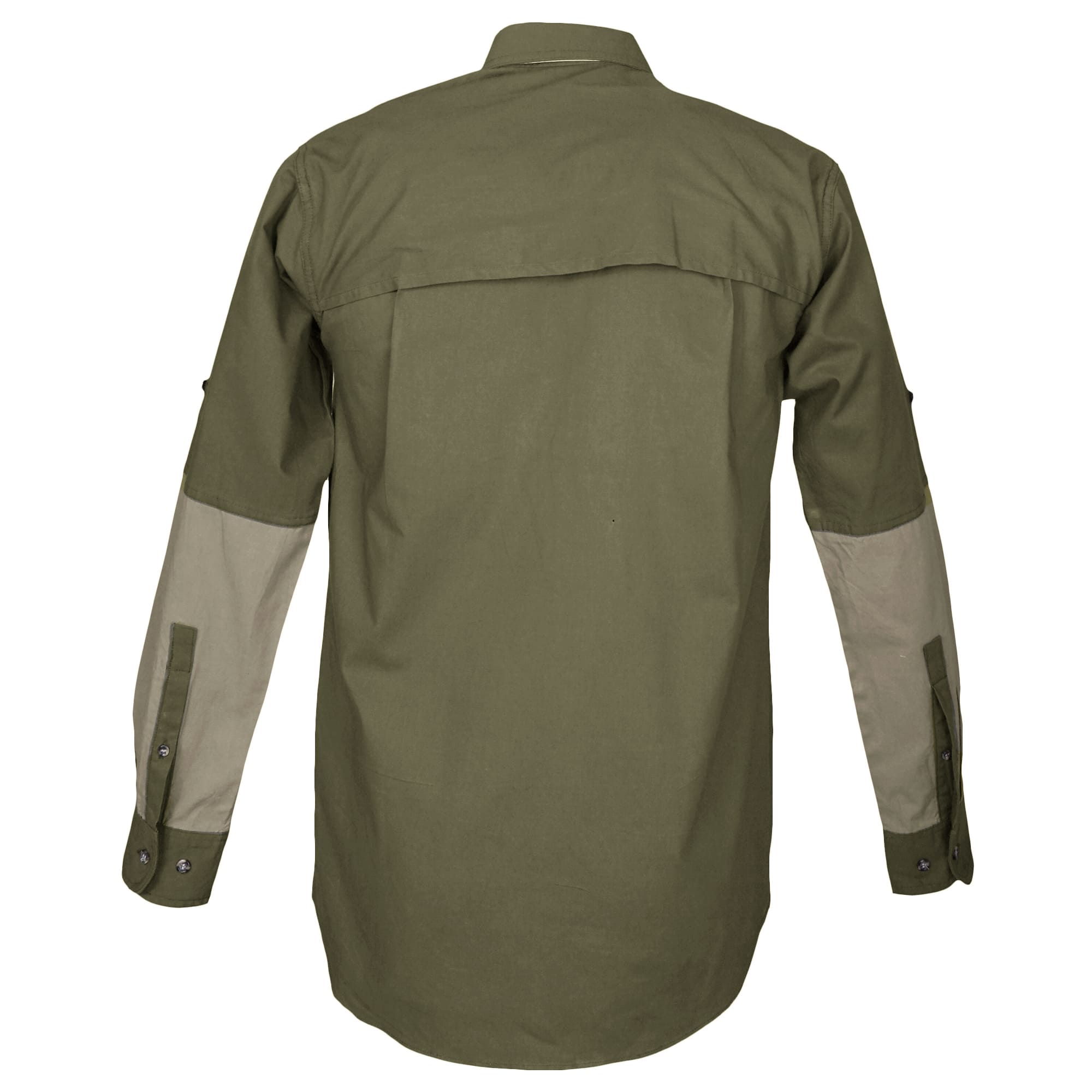 Back view of a Tag Safari Long-Sleeve Clay Bird Shirt for Men in Moss Green/Khaki. Shows a vented back, contrasted forearms, and roll-up sleeve tabs.--2