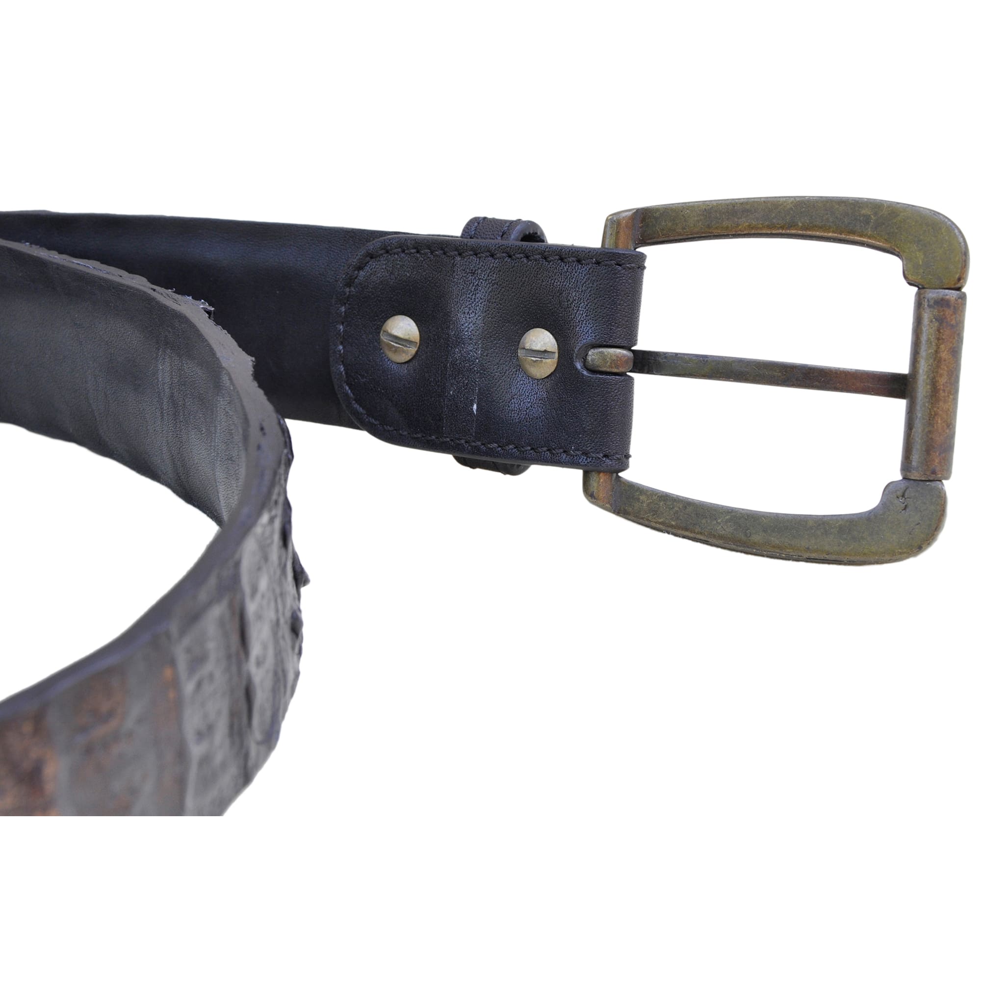 Caiman Crocodile Leather Belt from Tag Safari in Black features a removable brass buckle, matching fixed belt keeper, waist adjustment holes, belt length adjustment screws, and an inside Tag branded logo.--3